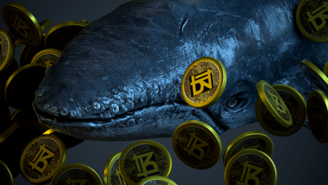 Crypto Whale sparks major growth in Bitnance Token presale activity